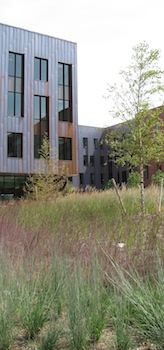 Oak hall