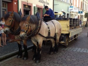 horse carriage in small street
